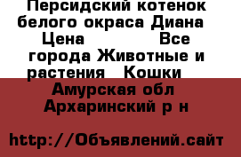 Персидский котенок белого окраса Диана › Цена ­ 40 000 - Все города Животные и растения » Кошки   . Амурская обл.,Архаринский р-н